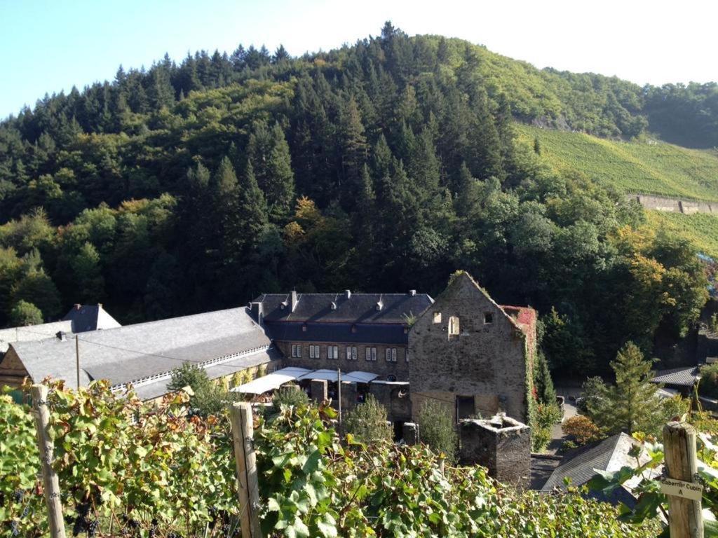Ferienwohnung Landskroner Blick Bad Neuenahr-Ahrweiler Exteriör bild